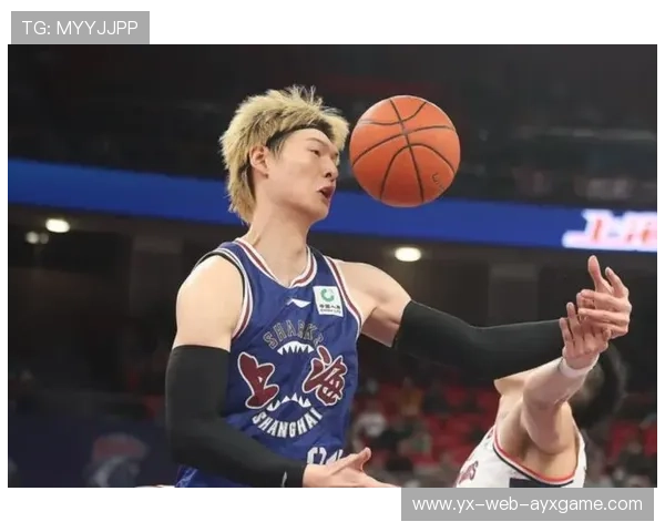 CBA王哲林力量与脚步训练同步提升，迈向巅峰的绝密秘籍