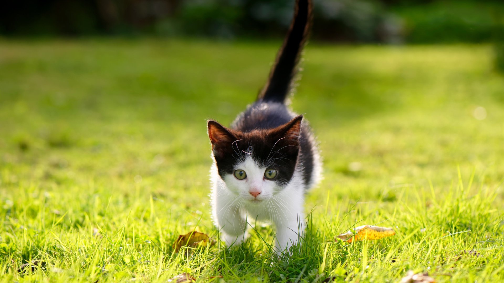 爱游戏体育平台-CBA联盟持续完善技术统计系统，cba联赛数据