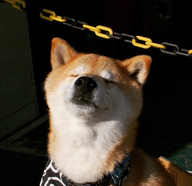 爱游戏娱乐平台-中国女篮打造快速反击体系，中国女篮逆转