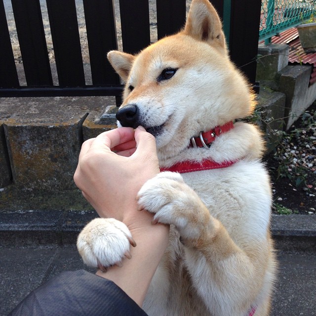 爱游戏体育平台-中国男篮备战世界杯 加强战术磨合，中国男篮备战世界杯 加强战术磨合了吗