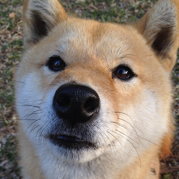 爱游戏 电竞-中超联赛中国女足晋级 球员表现备受肯定，中超俱乐部女足组建情况
