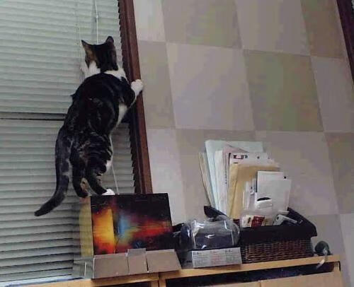 -五大联赛中场球员数据表现与传球成功率解读,五大联赛中锋 第3张 -五大联赛中场球员数据表现与传球成功率解读,五大联赛中锋 第3张