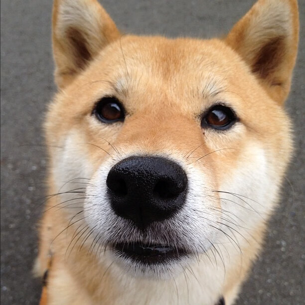 爱游戏娱乐网址-呼吸节奏调控技术研究，呼吸节奏控制