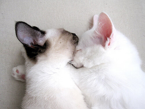 爱游戏娱乐网址-奥预赛国家队惨败 球迷反思防守漏洞，2020奥预赛分组