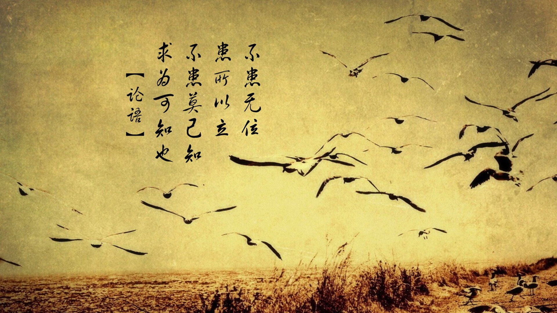 爱游戏登录入口-斯图加特传控节奏顺畅打出压制力，斯图加特是什么意思