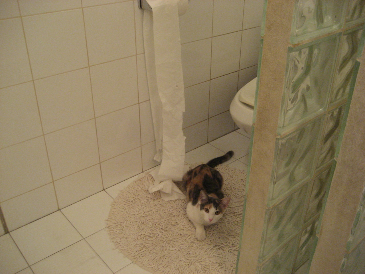 爱游戏在线登录入口-校园足球赛事促进学生全面发展，开展校园足球的可行性