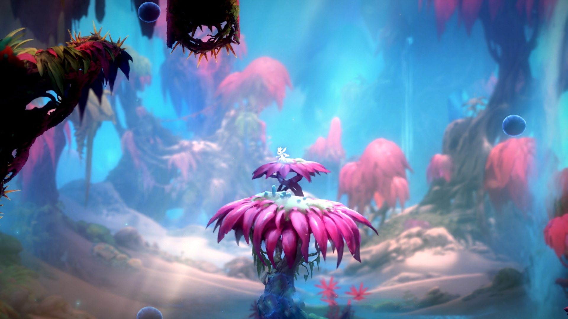 AYX官网-波兰乒乓队未来目标：如何在大赛中突破自我，实现突破性表现，波兰乒乓球选手