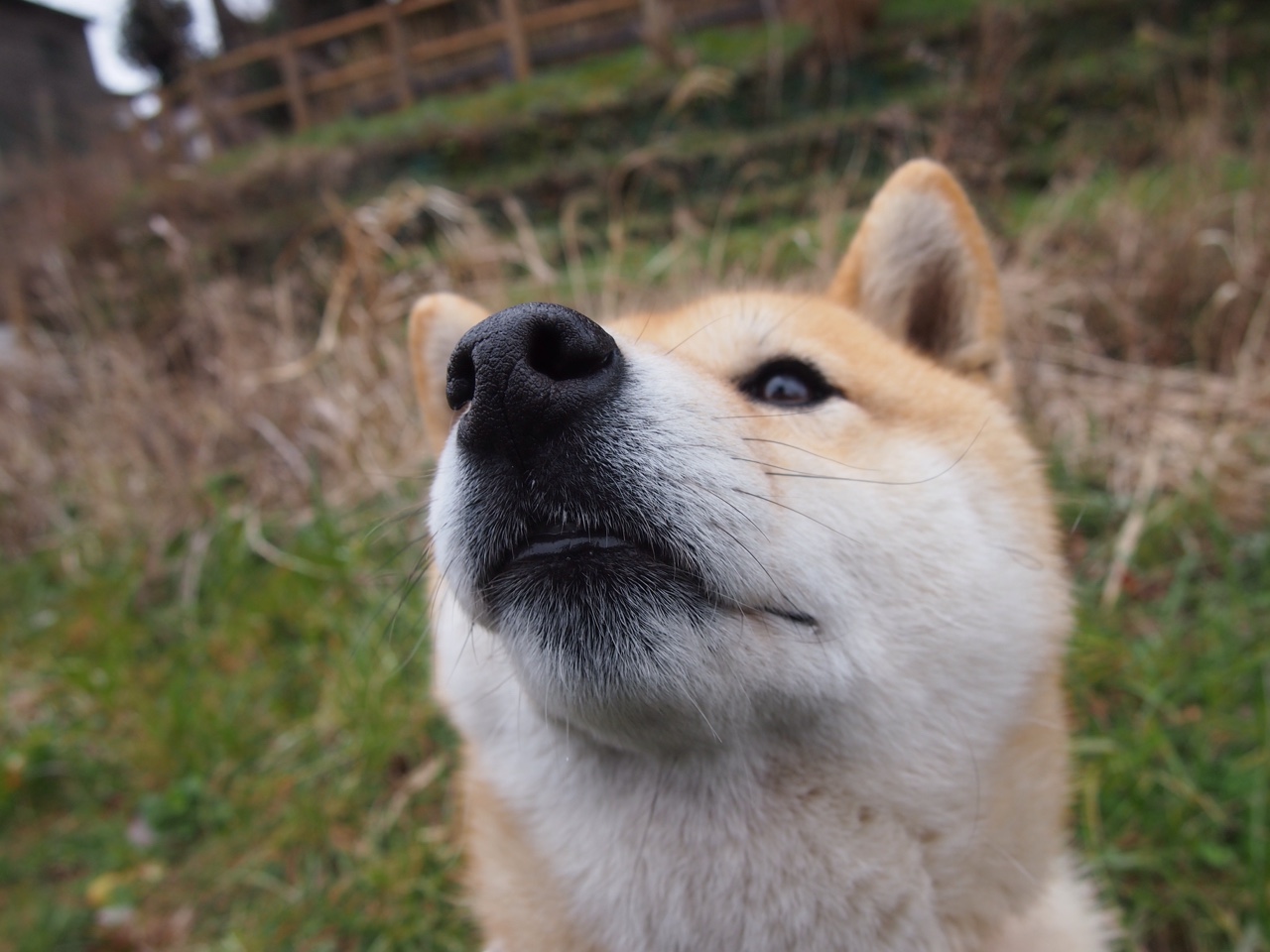 爱游戏体育官方网站-球员转会策略将聚焦实用型多面手，球员转会规则