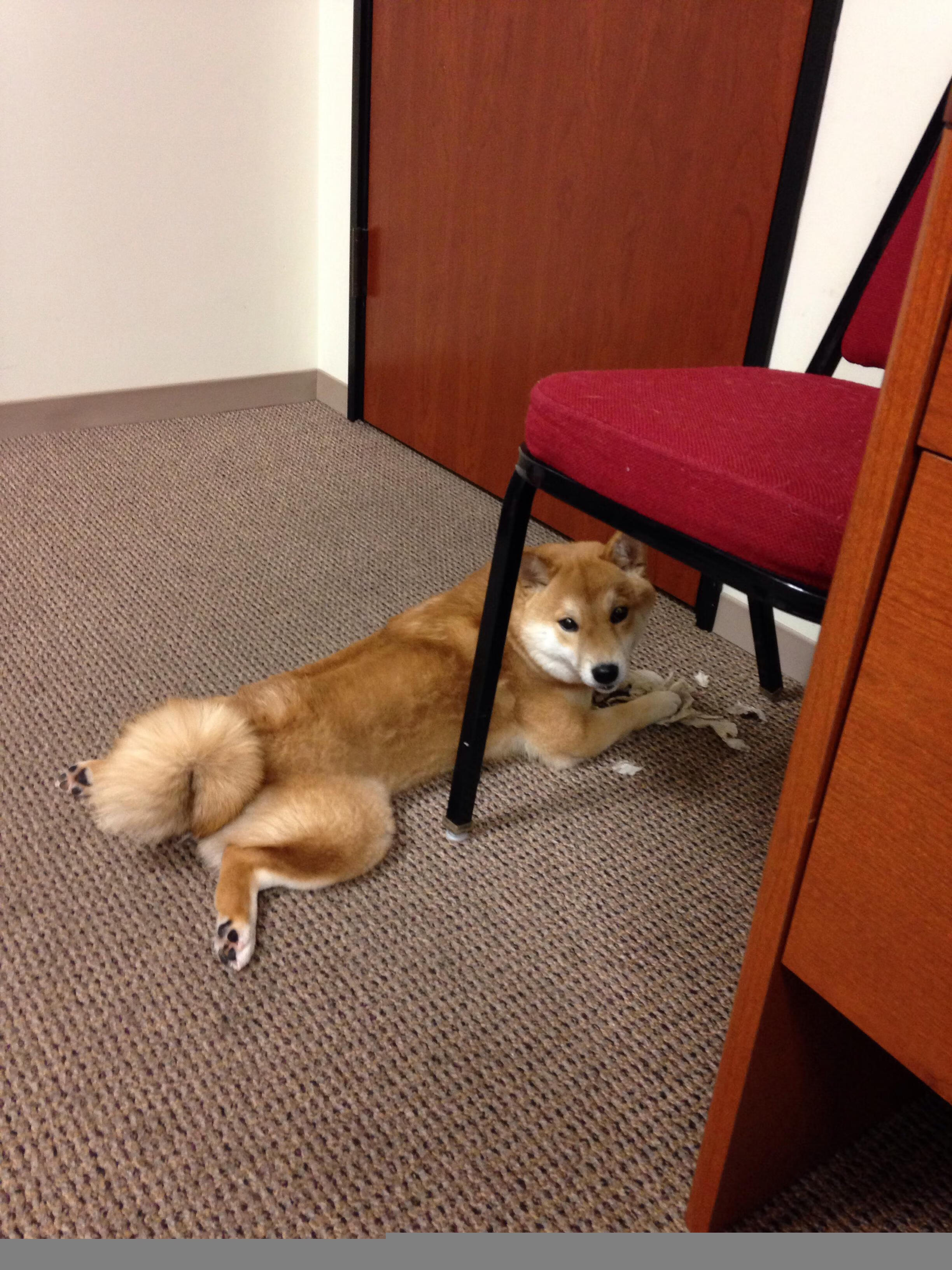 爱游戏中国官方登录入口网站-职业球员商业化影响竞技重心，商业化对现代足球运动发展的影响