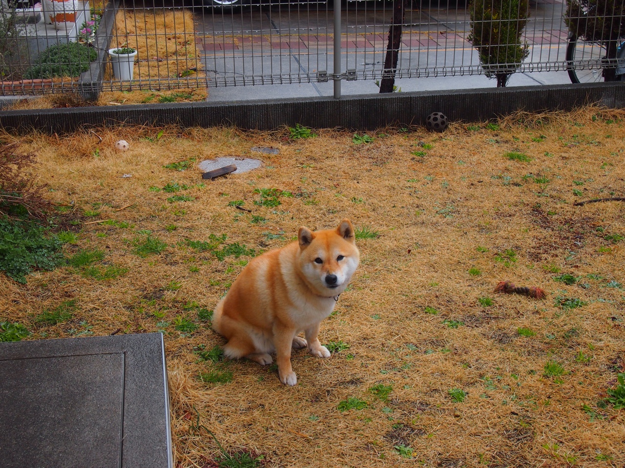 爱游戏-自由泳划水深度与速度关系图解，自由泳划水效率低