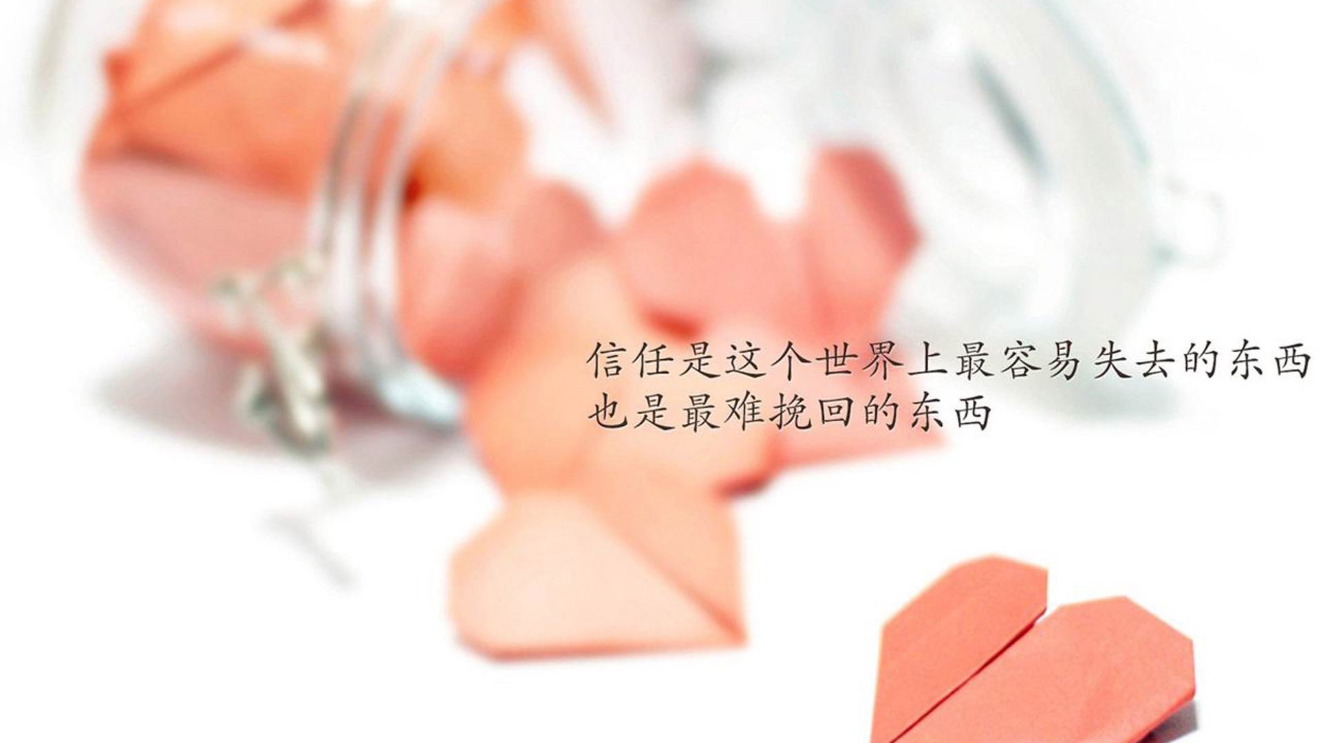 AYX GAME-青少年马术公开赛强调马匹人文关怀教育，青少年马术障碍赛