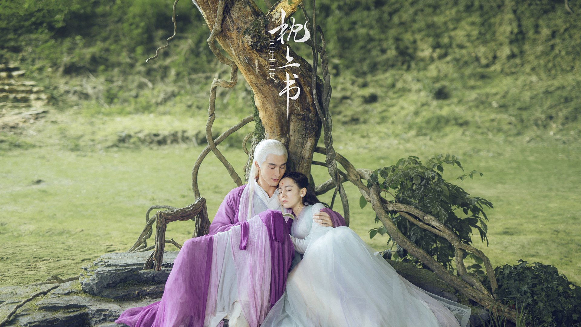 爱游戏中国官方登录入口网站-中国足协公布全新品牌形象主打现代与国际元素，中国足协官宣