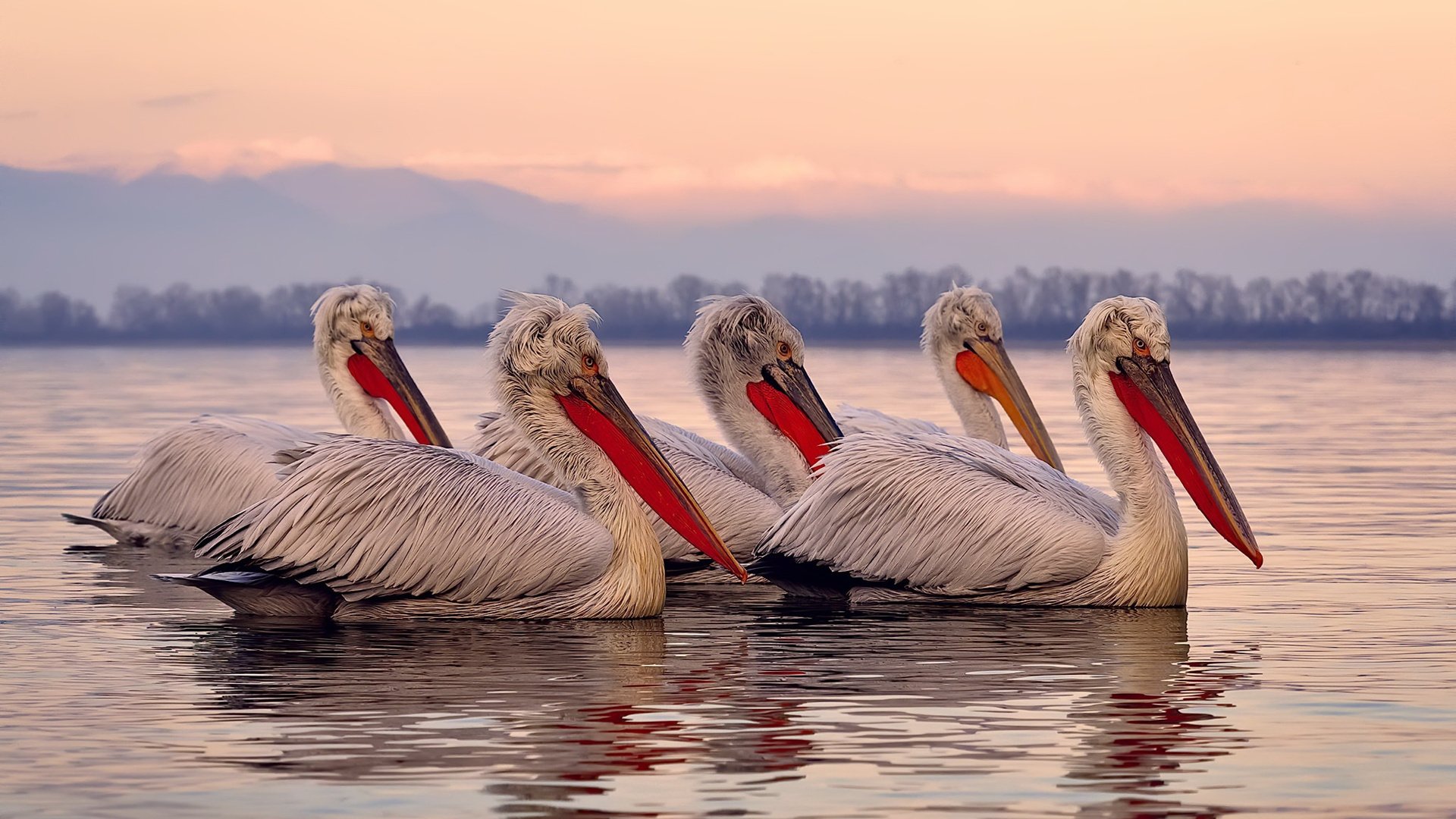 爱游戏平台-塞维利亚保持强势，争夺欧战名额