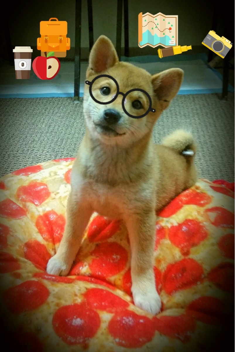 爱游戏体育APP下载-美洲杯明星集结：天赋与拼搏的完美结合！，美洲杯人员名单