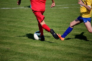 爱游戏app-足球重大比赛现场设立互动展区,增强观赛体验,足球展厅