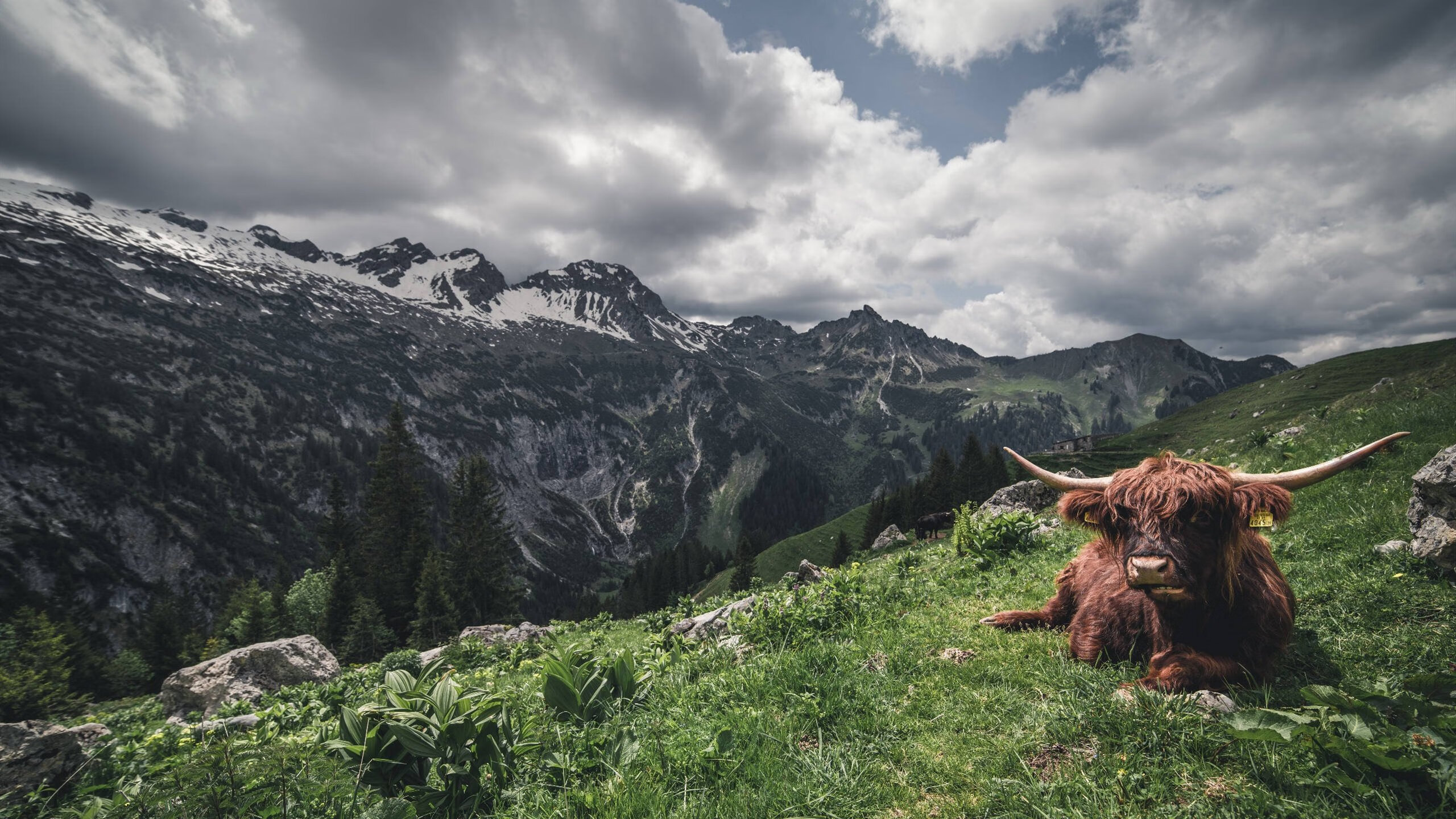 爱游戏在线登录入口-青年联赛表现亮眼或将成为国家队储备人才主力军,中国青年联赛
