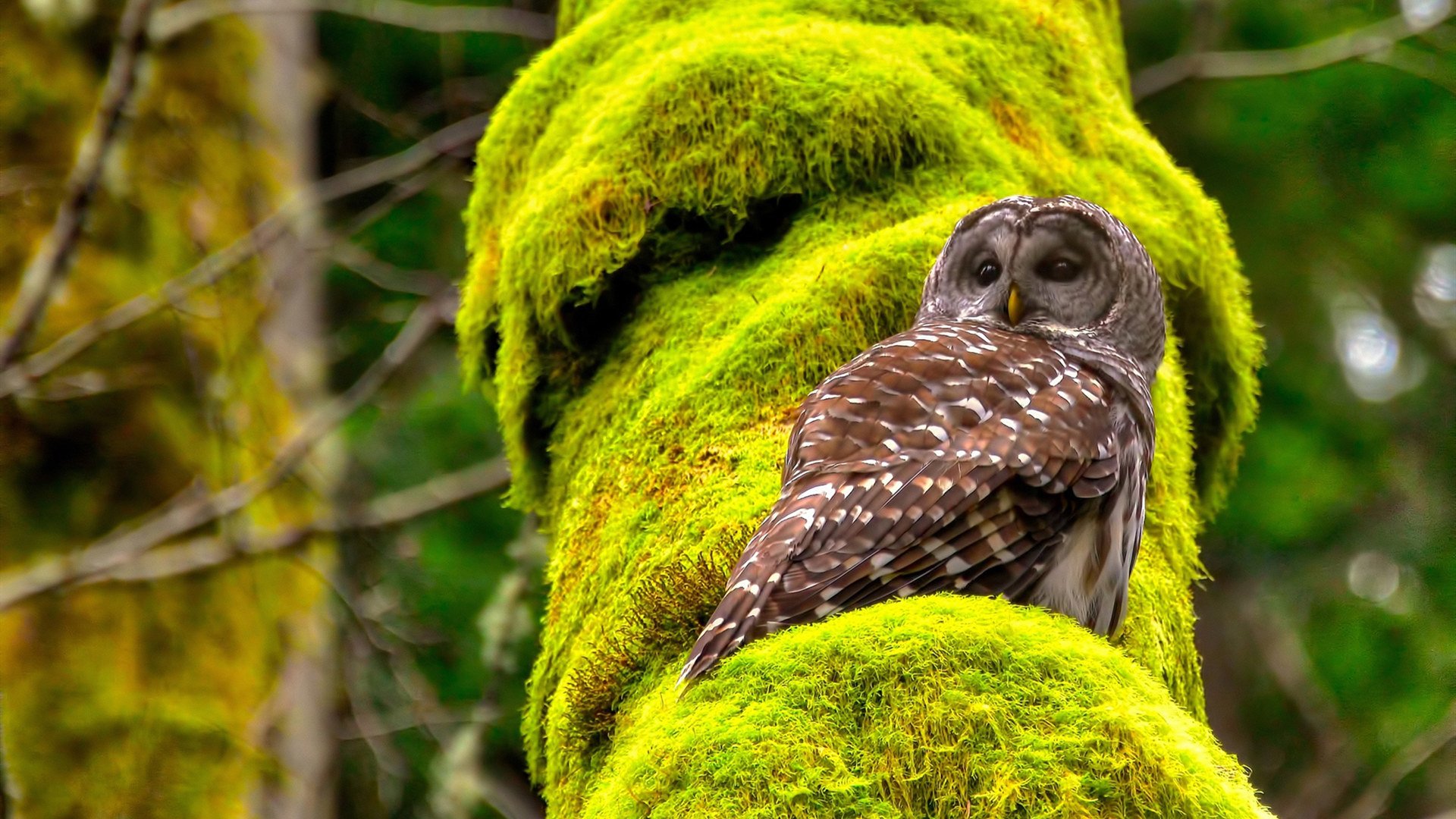 爱游戏娱乐-预备队比赛升级，培养未来核心力量，预备队的作用