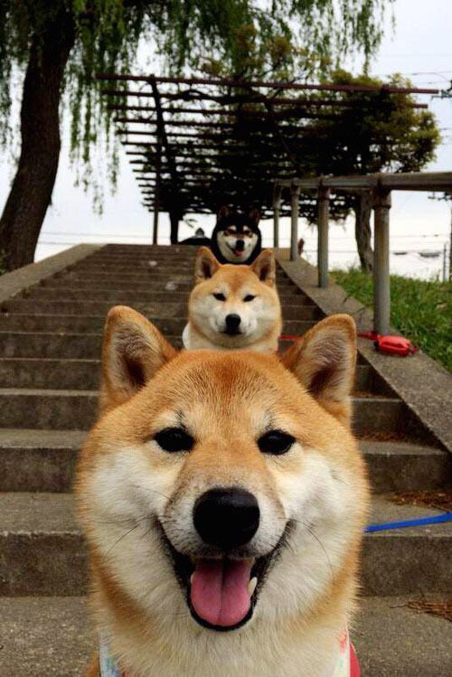 爱游戏 电竞-Kim 防守坚如磐石，令对手头疼，kim dang