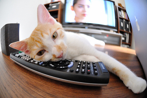 AYX官网-Kim 防守贡献巨大，成为后防核心