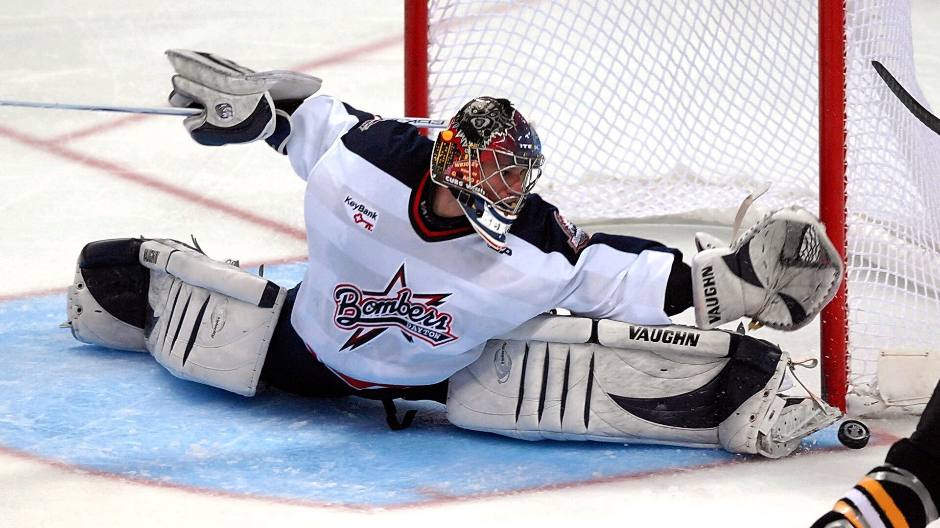 爱游戏中国官方网站平台-“美洲狮队奋勇拼搏,征战橄榄球冠军锦标赛”