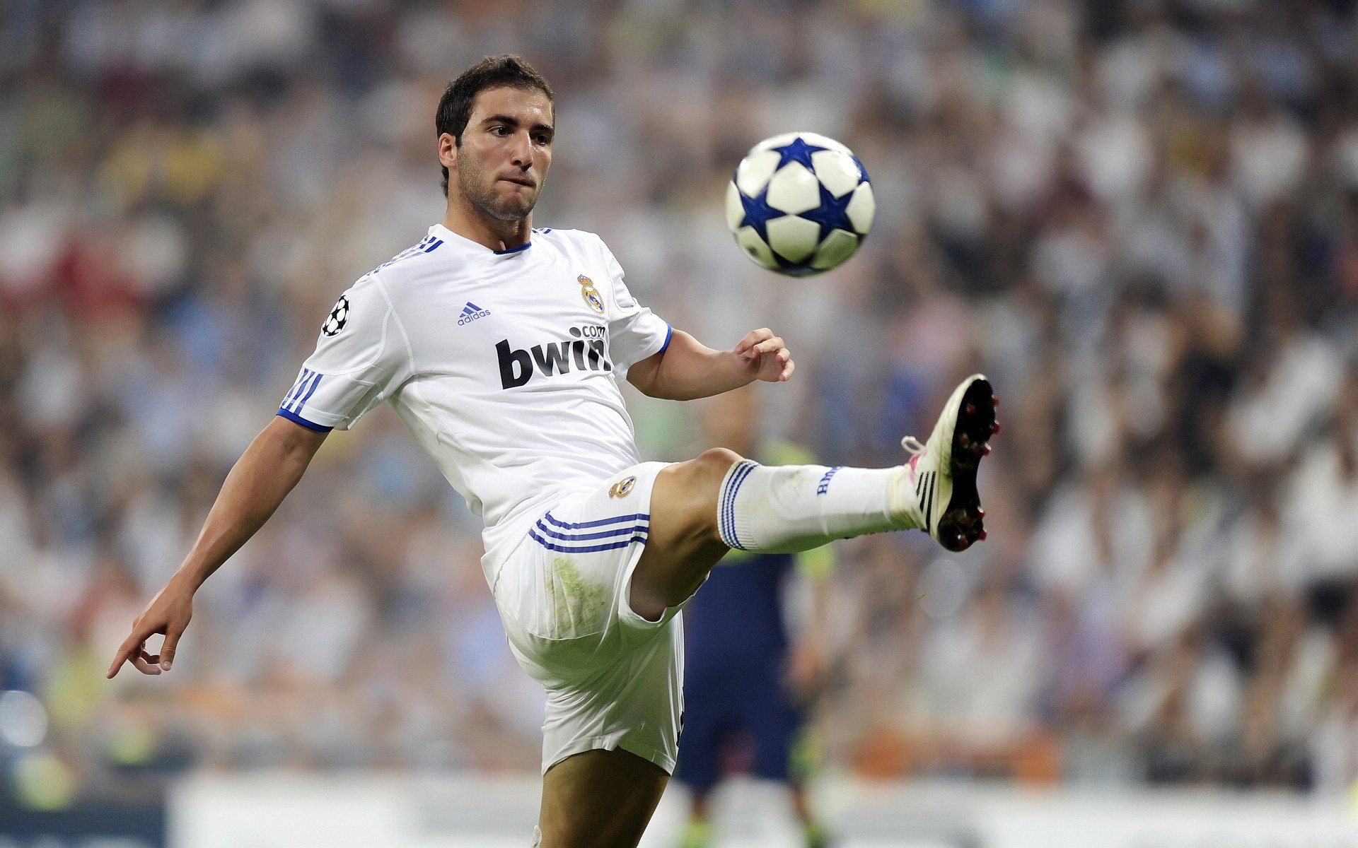 AYX GAME-世界杯高光时刻：经典瞬间永恒流传！，世界杯冠军激动视频